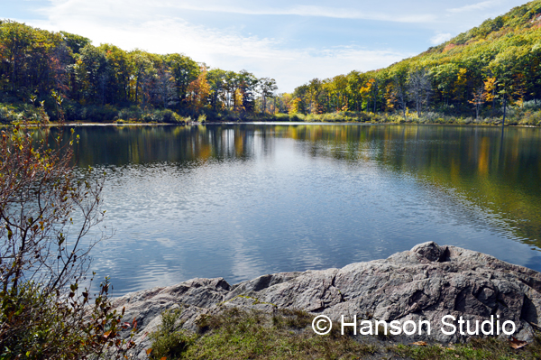 Chesterfield, NH - Indian Pond - Anne Stokes Loop - Mdm Sherri Forest